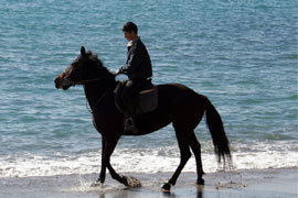 A cavallo sulla spiaggia dell'Arco Naturale