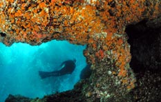 Palinuro Sotto, la grotta azzurra