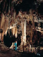 Castelcivita > Interno grotte