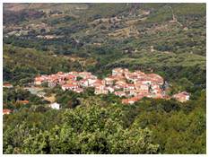 Ceraso > Chiesa San Nicola di Bari