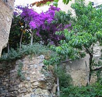 Pisciotta > Scorcio suggestivo tra le viuzze del borgo antico