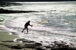 Svolgimento della pesca tipica a Palinuro